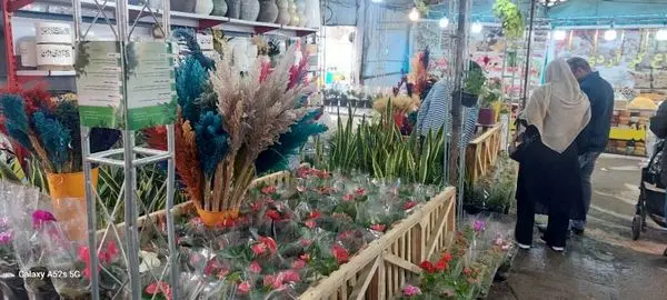 برپایی بازارچه عرضه گل و گیاه در  منطقه ۲ 
