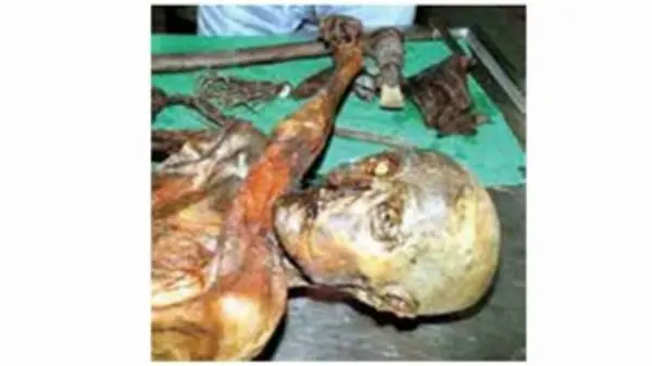  شکارچی که 3300 سال سن دارد! + عکس 