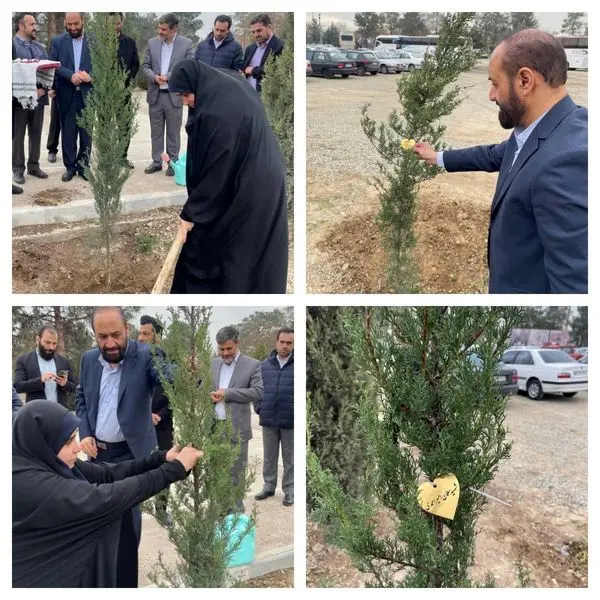 کاشت نهال به یاد ۷ شهید مدافع امنیت