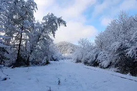 بارش برف و باران و کاهش دما در برخی استان‌ها

