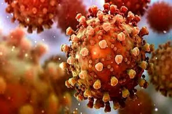 XBB۵۱ جدیدترین سویه کووید۱۹ 