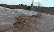 سیلاب بیش از ۵۶۳ میلیارد ریال به بخش کشاورزی استان مرکزی خسارت وارد کرد

