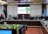 قیمت آجیل و خشکبار عید هفته آینده اعلام می‌شود