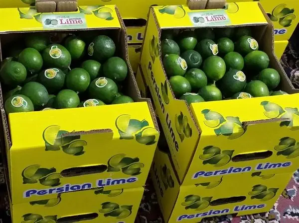 احداث گلخانه تولید لیموترش در استان مازندران با حمایت بانک کشاورزی