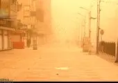 صادرات دام از سرگرفته می‌شود