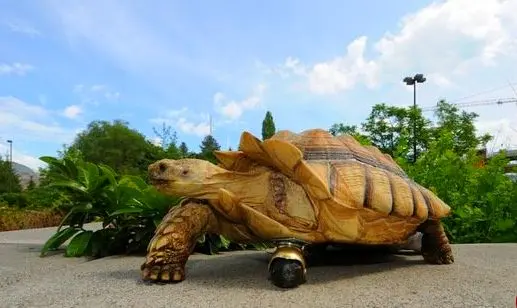 حیواناتی با اندام مصنوعی +تصاویر