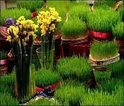 استقبال تهران از نوروز با 20پاتوق محلی