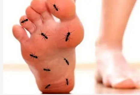 
علل سوزن‌ سوزن شدن و سوزشِ دست و پا
