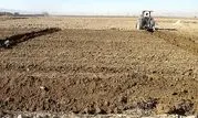 کشت محصولات پاییزه در ۳۲۰ هزار هکتار از زمین‌های زراعی استان مرکزی