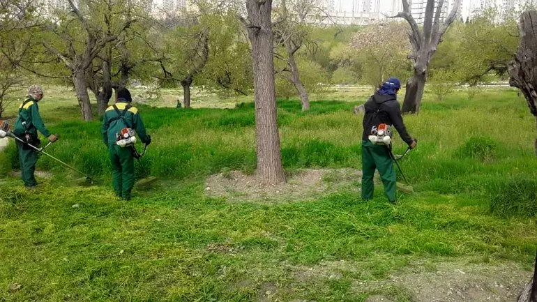 احداث آتش بر  در باغات و بوستان های منطقه۲

