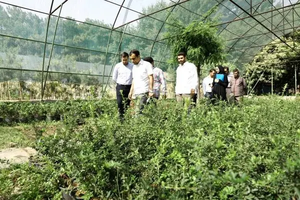  بازپیرایی و احداث بوستان جدید ۲۰ هزار متر مربعی در محور بزرگراه شهید دوران