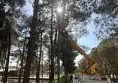 نصب پرژکتورهای روشنایی بوستان‌های منطقه ۱۹ به ۵۷۲ عدد رسید


