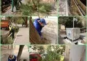 ایمن سازی معابر منتهی به مراکز آموزشی و مدارس شمال شرق شهر