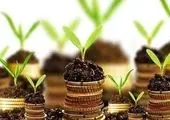 قیمت آتی زعفرانِ دی ماه در بورس کالا از 52 میلیون تومان گذشت