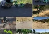 کاروان غدیر خوانی در قلب پایتخت