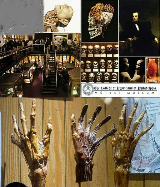 نگهداری اعضای بدن مشاهیر در این موزه+عکس