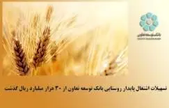 تسهیلات اشتغال پایدار روستایی بانک توسعه تعاون از 30 هزار میلیارد ریال گذشت
