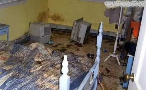 زندگی اجباری بچه 12ساله با 76 حیوان در اتاق+عکس