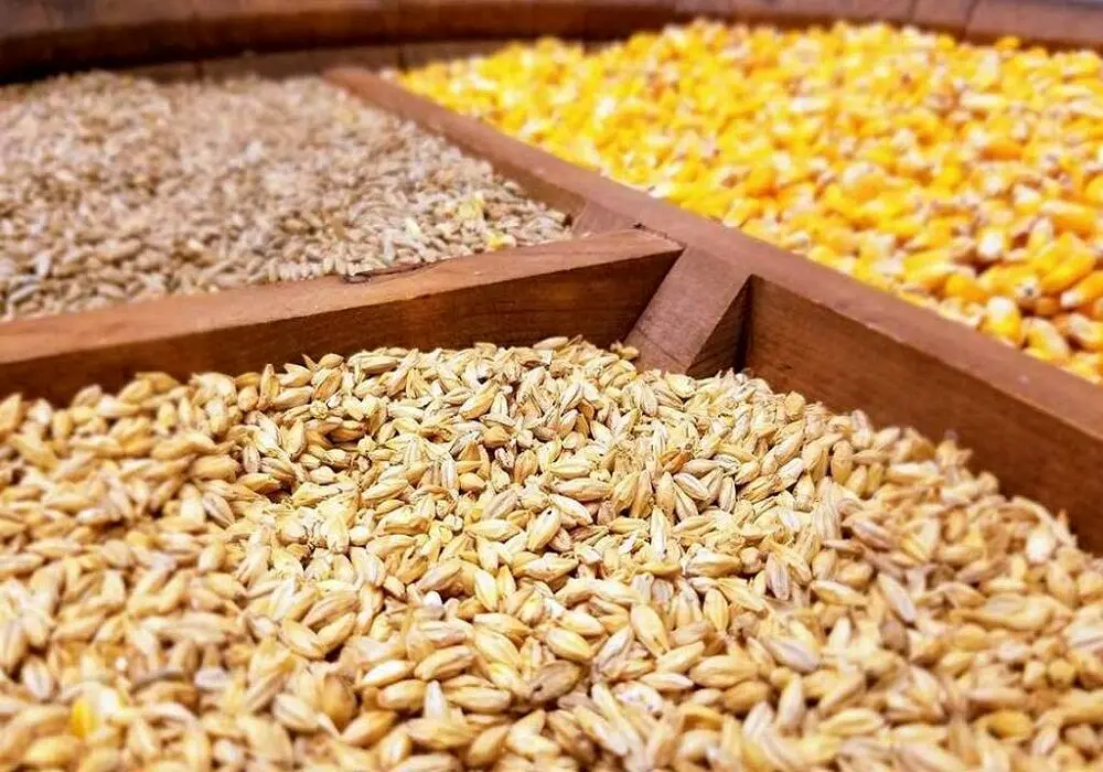 عدم حل مشکلات نهاده های دامی سبب ورشکستگی بخش خصوصی می شود