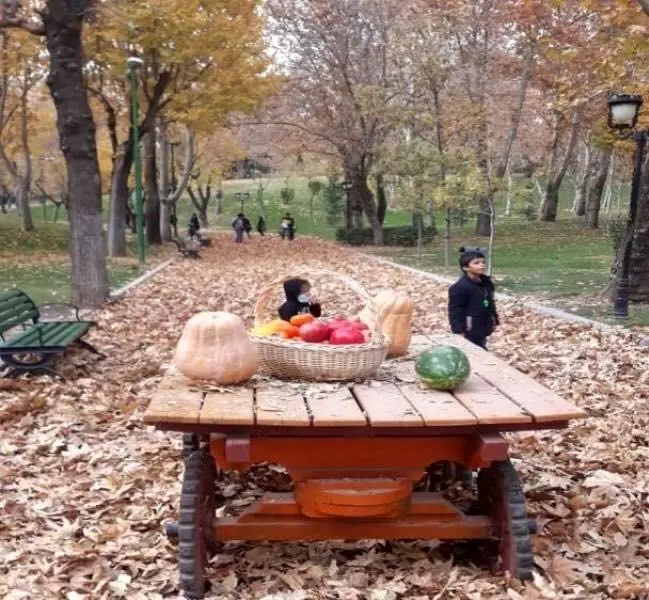 ایجاد گذر برگ ریزان (گذر پاییزی) در بوستان های شاخص  منطقه ۳


