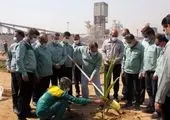 هر ایرانی، یک درخت

