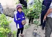 لزوم بهره‌مندی از ظرفیت حوزه‌های علمیه در حوزه محیط زیست

