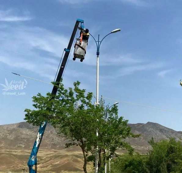 کار عجیب یک مأمور برق در سطل زباله!+عکس