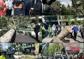آرامستان اراک، از ۱۵ فروردین ماه سال جاری، تعطیل می شود

