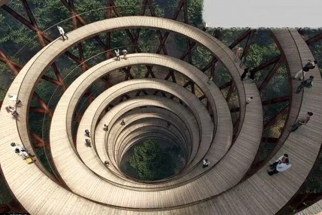 ساخت مسیر پیاده روی 700 متری در دل جنگل+عکس