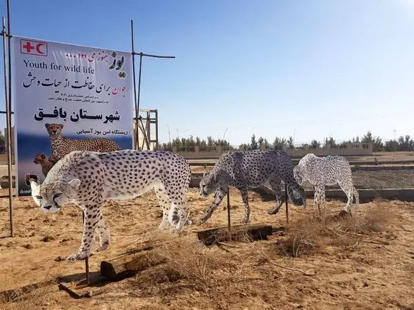 
شهری که در نوروز نمونه شد + عکس
