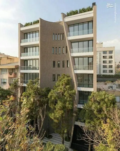 معماری یک خانه برای نجات جان درختان/عکس