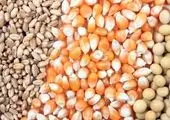 تجارت ۳۳ میلیارد دلاری ایران با همسایگان