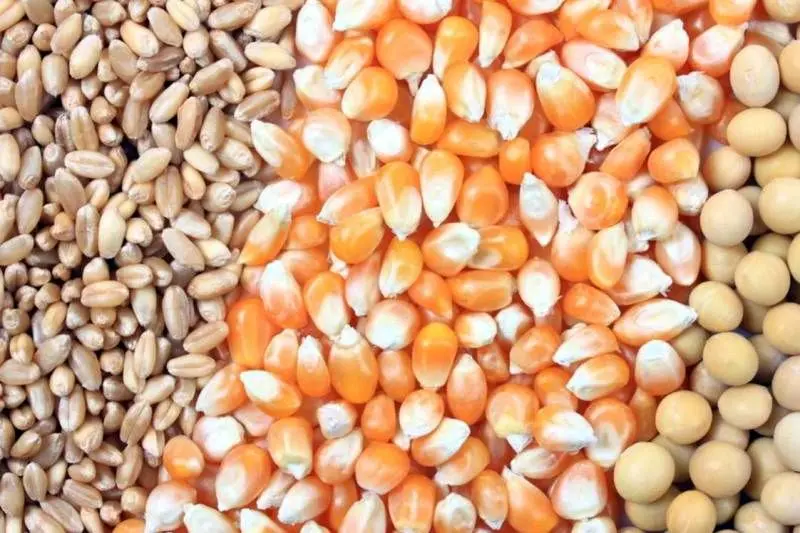 بیش از 9 میلیون تن کالای اساسی وارد کشور شده است