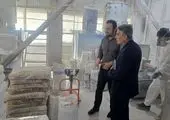گام جدید بانک توسعه صادرات ایران در تقویت ارتباط با تولیدکنندگان و صادرکنندگان

