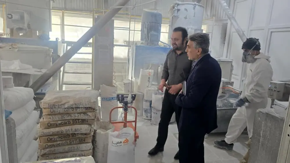 برنامه های حمایتی بانک توسعه صادرات ایران برای صنایع صادراتی استان اردبیل

