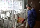 پس از تشکیل پرونده قضایی مرکز متخلف تعطیل شد