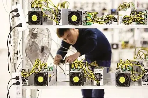 کوچ فارمهای بدون مجوز به خانهها