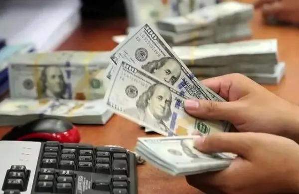 نوسان قیمت خودرو متاثر از سیاست گذشته و ارز چند نرخی بود