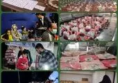 پایان جشنواره تابستانه جانورشناسی در موزه دارآباد 

