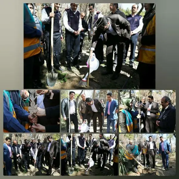 نهال یاد شهید آتش نشان ساختمان خیابان بهار در خاک بوستان لاله، منطقه۶ غرس شد