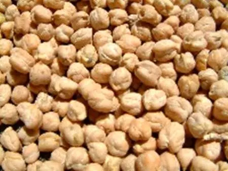 باید جلوی واردات بیرویه نخود گرفته شود