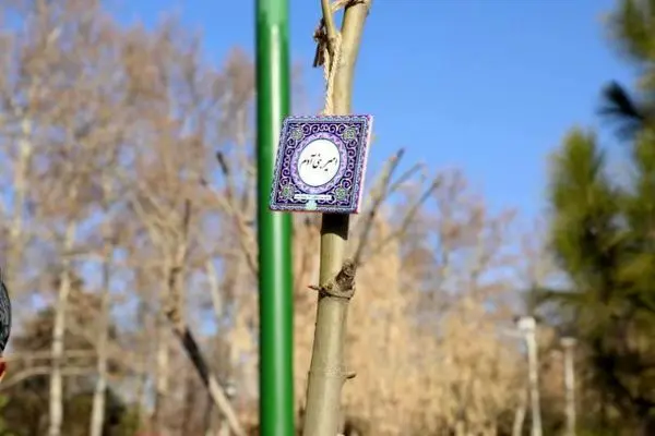 کاشت نهال به نام مربیان ایستگاه های ورزشی و نوزادان دربوستان ملت