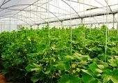 همکاری های اتکا و فراجا در خراسان شمالی افزایش می یابد
