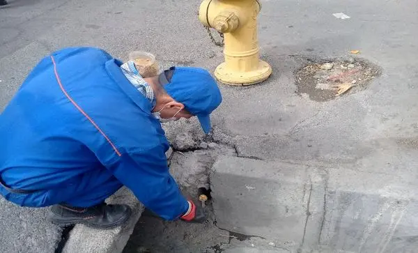 مبارزه با جانوران مضر شهری در شمال شرق تهران