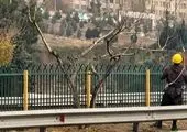اهم اقدامات عمرانی خدماتی منطقه چهار اسلامشهر