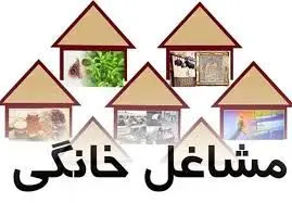  رصد دقیق زنجیره مشاغل خانگی در وزارت کار، قابل تقدیر است