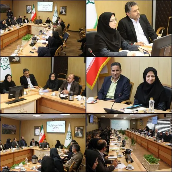 با موضوع بررسی پیشرفت پروژه های سال ۹۸  و رویکردهای شش ماهه دوم