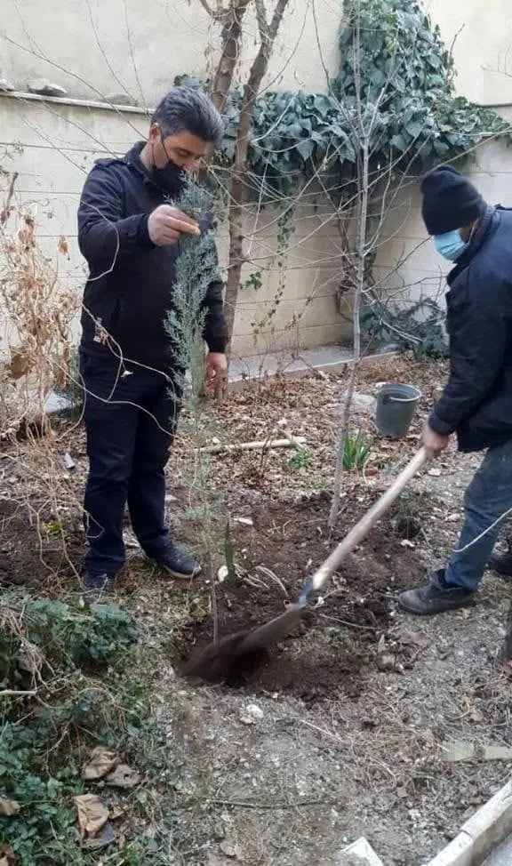 2 هزار نهال در خانه ها و معابر شهری منطقه یک  غرس شد
