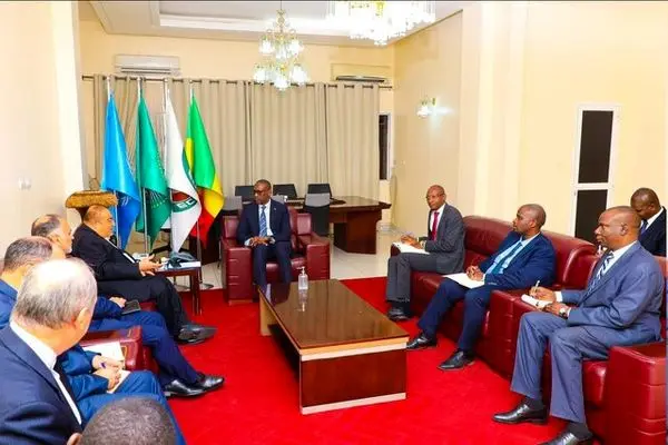 رایزنی صفری با وزیر امور خارجه «مالی» در مورد آخرین وضعیت همکاری های اقتصادی بین دو کشور